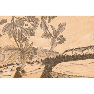 Carte postale bois hiking feuilles